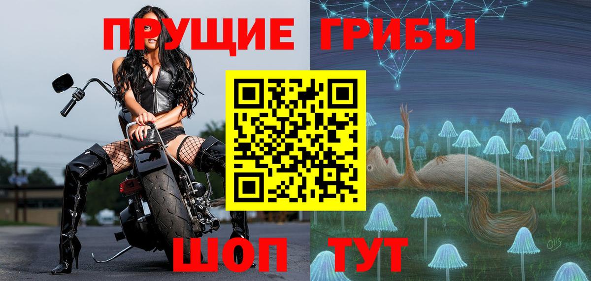 Галлюциногенные грибы Psilocybe  наркота  Мыски  Псилоцибиновые грибы Psilocybe  Вход с VPN 